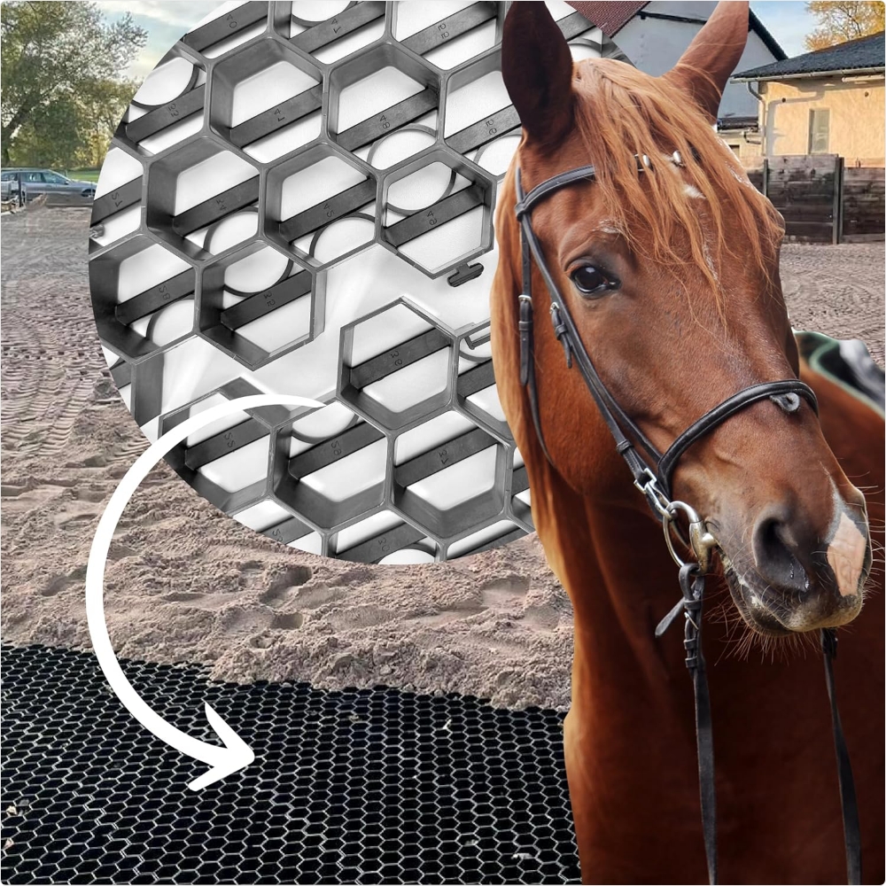 Bild von einer Paddock-Palette